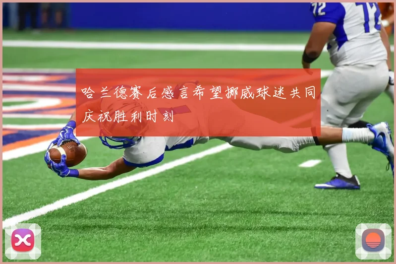 哈兰德赛后感言希望挪威球迷共同庆祝胜利时刻